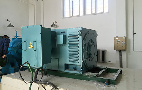 青铜峡某水电站工程主水泵使用我公司高压电机